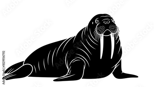 Bold walrus artwork great for wildlife themes, conservation projects, or marine mammal education resources
