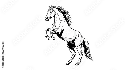 Majestic horse rearing, bold equine illustration, dynamic logo design, perfect for brands seeking strength and freedom