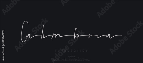 Elegant modern alphabet letters font logo. Typography luxury classic lettering serif italic fonts wedding vintage retro logos. vector illustration