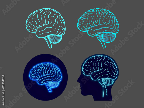 Blue abstract  human brain vector illustration for medical anatomy, neurology, and intelligence, resembling an X-ray scan of the head organ