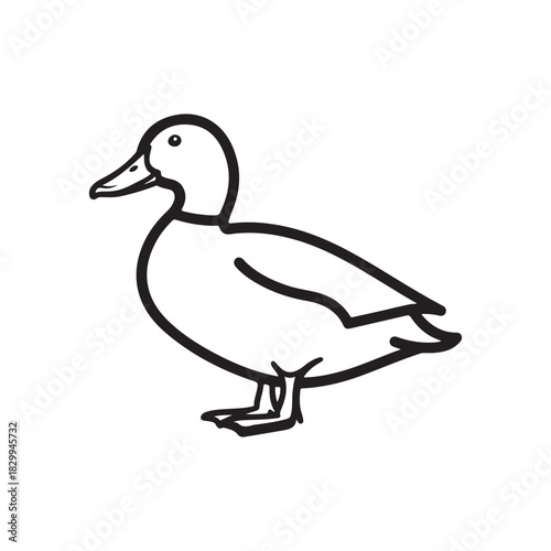American black duck outline vector flat illustration design