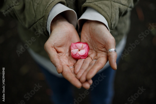 Close-up of two hands cradling a small, vibrant pink flower. Soft natural light highlights the delicate petals and rings on fingers, against a blurred dark background.