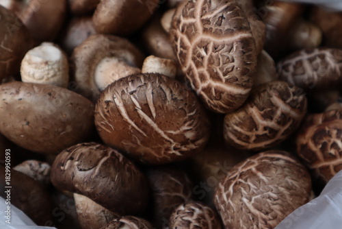 A close-up view of a pile of fresh, brown shiitake mushrooms.