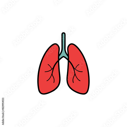 vector clip art lungs icon on white background for web and graphic design