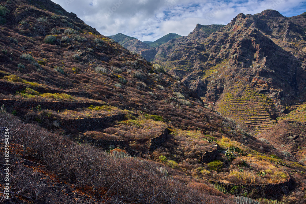 Naklejka premium Disused terraces in Anaga mountains