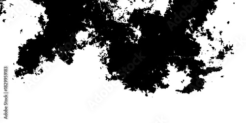 Black grunge ink splat frame with decorative flower silhouette, paint texture, and dirty art design vector illustration background