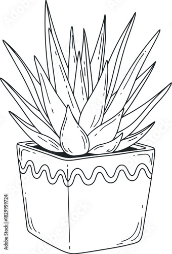 Hand drawn sketch of a potted aloe vera plant