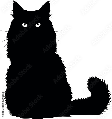 Silhouette of a fluffy black cat with bright eyes sitting