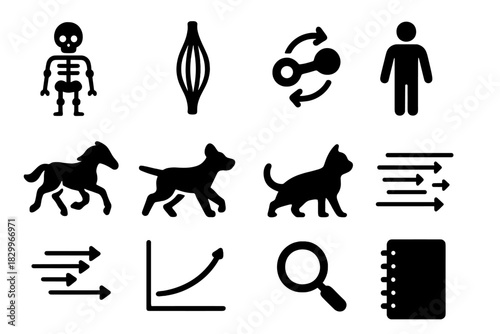 Biomechanics Motion Study Icons. Solid style icons of biomechanics and motion study: skeleton figure, muscle diagram, joint