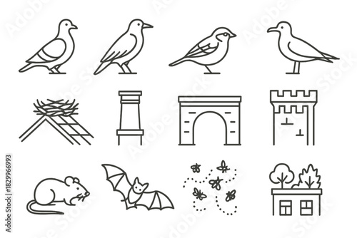 Urban Wildlife Icons. Line style icons of urban wildlife: pigeon, crow, sparrow, seagull; rooftop nest, chimney pot, bridge arch,