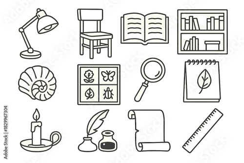 Collector's Study Icons. Line style icons of collector’s study: desk lamp, chair, open book, shelf; shell case, specimen drawer,
