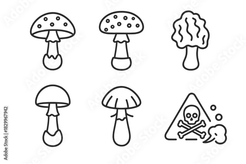 Poisonous Fungi Icons. Line style icons of poisonous fungi for research: death cap icon, fly agaric, false morel, destroying angel