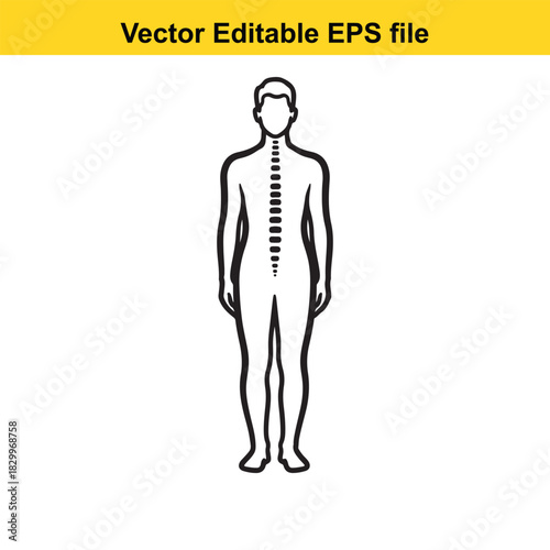 Outline icon of human body showing the spine structure, vector editable eps file, isolated on white background