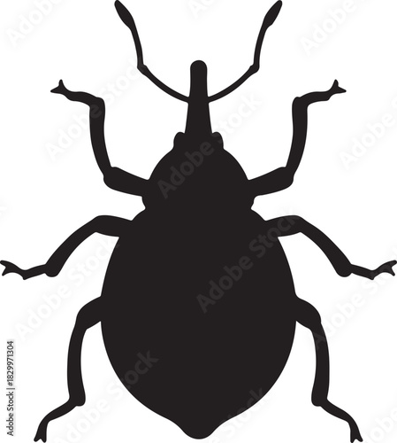 Weevil beetle insect silhouette, black graphic on white clean