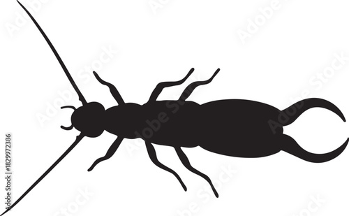 Earwig insect silhouette vector icon isolated on white background
