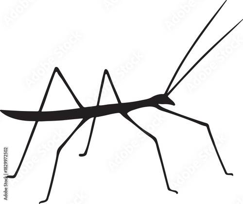Stick insect silhouette vector graphic illustration on white