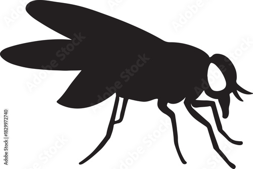 Housefly pest insect vector graphic silhouette design element
