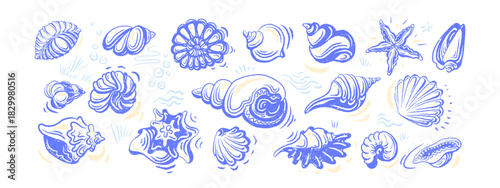 Seashell sketch crayon set Hand drawn illustration