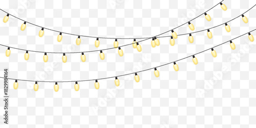 Warm Bulbs Dangle on Celebration Wire – Cozy Party String Lights for Seasonal Decoration