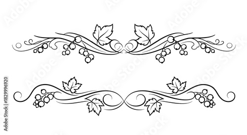 Blackcurrant text dividers featuring elegant vines and berry motifs in a decorative style