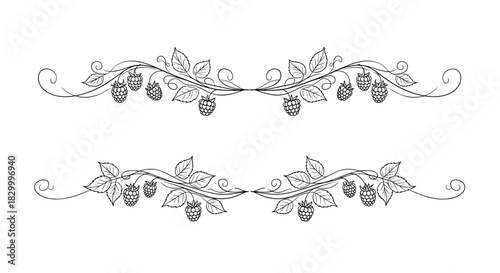 Raspberry text dividers featuring elegant vines and berries in a decorative style