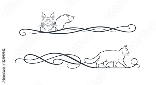 Cat-themed decorative dividers with playful feline illustrations, charming accents for creative projects, copy space