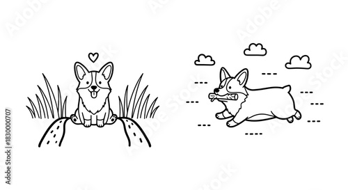 Playful corgi illustrations, cute dog designs, delightful accents for creative projects, copy space
