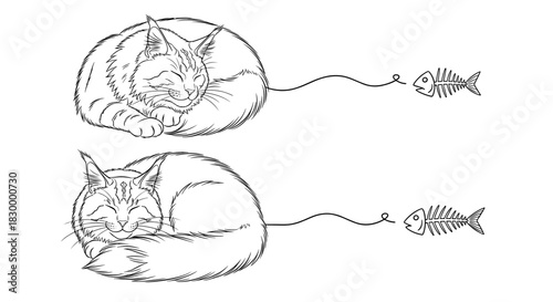 Sleeping cats with fishbone motifs, whimsical design elements, charming accents for creative projects, copy space