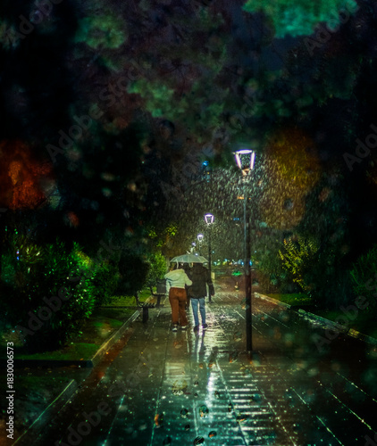 young couple walking in the park