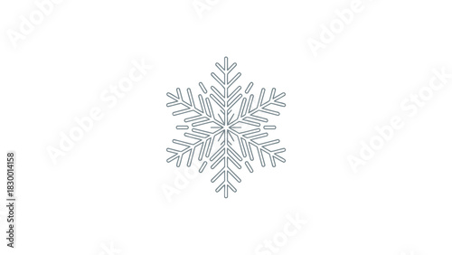 Intricate symmetrical snowflake design with delicate frosty blue branches and crystalline patterns on a clean white background