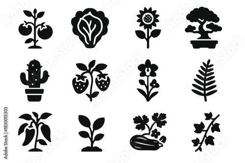 Vector tree ivy icon orchid ai herb tomato pepper fern plant gardener
