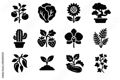 Gardener orchid bloom bush tomato cluster zucchini ai icon vector ivy tree