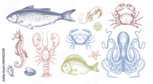 Fish sea vector isolated illustration with crab octopus seahorse shrimp lobster and starfish