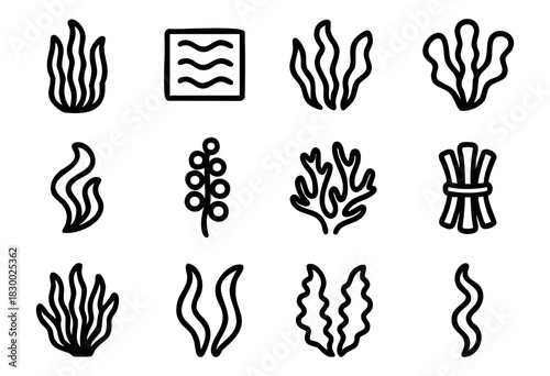 A collection of black outline icons depicting various forms of seaweed, algae, marine plants, and a water wave symbol, presented in a minimalist, hand-drawn style.