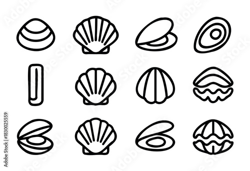 A diverse collection of black outline seashell and bivalve icons, featuring scallop shells, clams, and mussels, presented in a clean minimalist line art style.