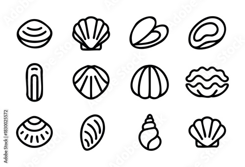 A diverse collection of outline icons representing various types of shells and shellfish, including clams, scallops, mussels, and oysters, depicted with clean black lines on a white background.