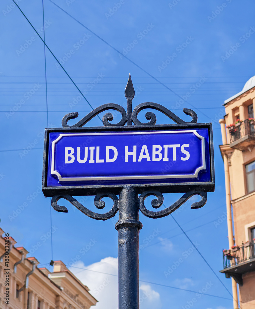 Obraz premium Build habits symbol. Concept word Build habits on beautiful blue road sign. Beautiful blue sky and buildings background. Business build habits concept. Copy space.