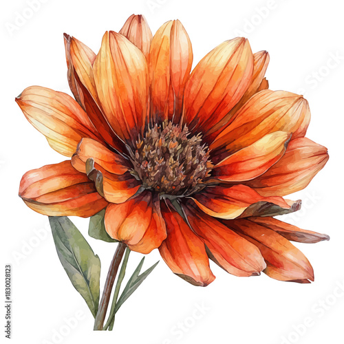 watercolor of Gaillardia Flower, vector, isolated on a white background.