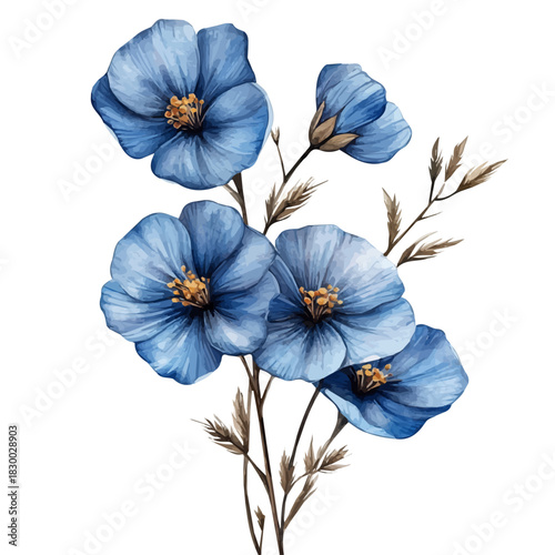 watercolor of Flax Flower, isolated on a white background.