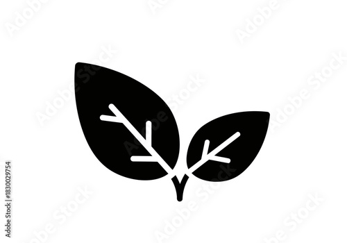Two fresh leaves with visible veins are depicted in a simple solid color flat vector style image here organic