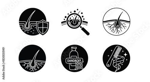 Illustrations depicting scalp health hair care and dandruff treatment concepts