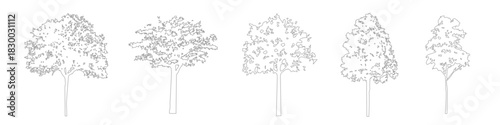Architectural CAD Tree Drawing Linework, Minimal Side View Trees for Architecture and Landscape