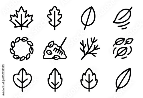 Line icons of autumn leaves and foliage — maple leaf, oak leaf, and a pile of leaves with a rake — stock vector.