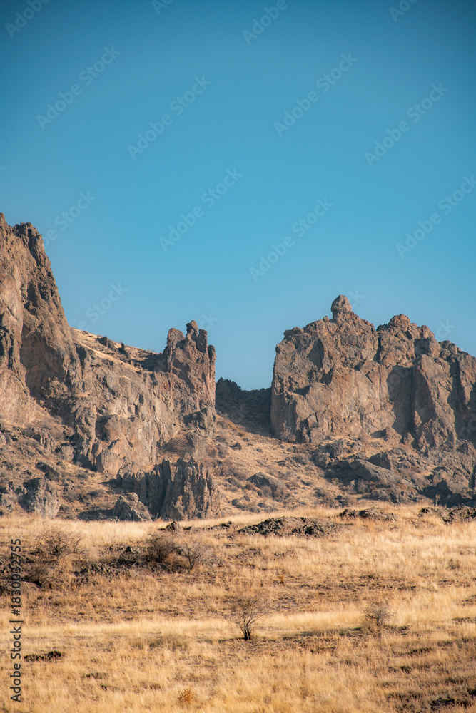 Fototapeta premium desert landscape in the desert