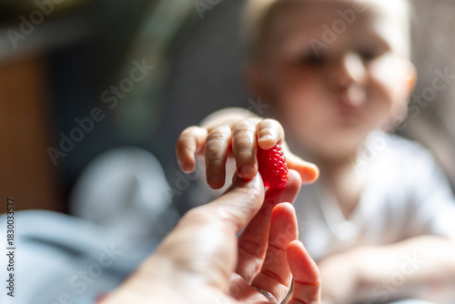 Fotografie A baby eagerly reaches for a fresh raspberry held by an adult hand