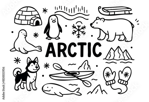 Doodle icons for the Arctic and Antarctic regions — polar bear, penguin, igloo, and husky — stock vector.