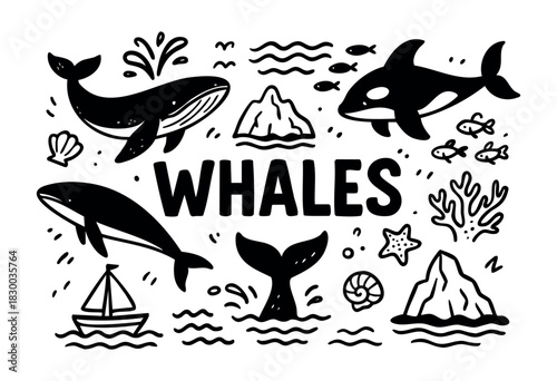 Whales doodle illustration — humpback, orca, and other sea animals and marine life — stock vector.