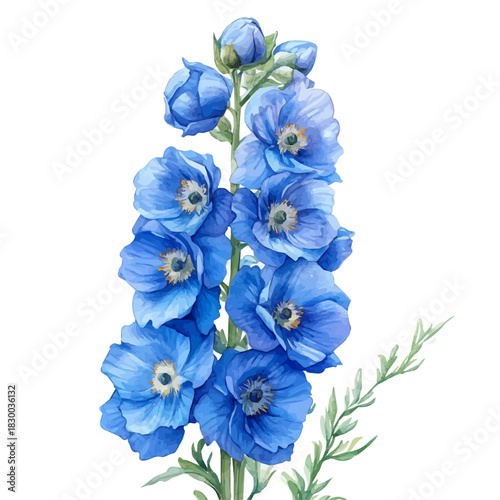 Delphinium Flower, clipart watercolor vector with vivid accents and harmonious tones, isolated on a white background.