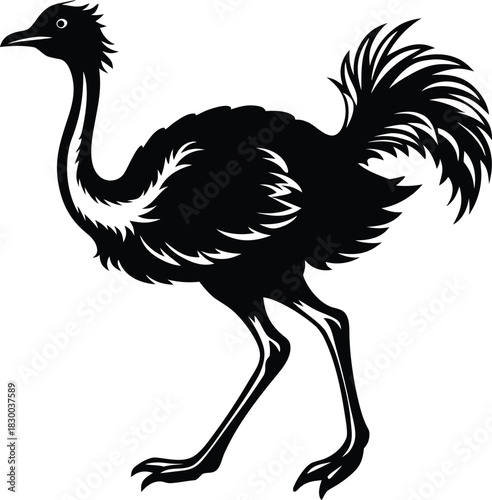 Rhea silhouette vector running with long stride on white background