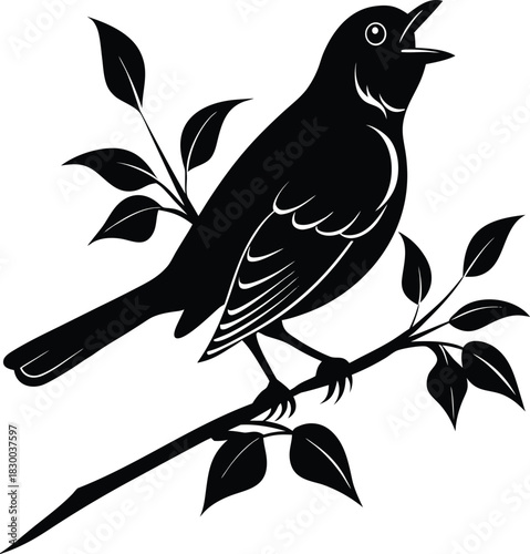 Nightingale silhouette vector singing perched on minimal branch